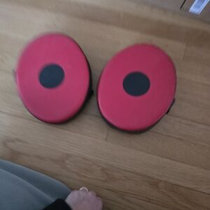 Everlast Striking Gloves